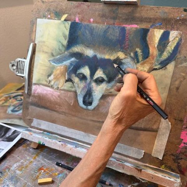 Home 13 Pet Portrait Pastel Art Class in San Diego | VIMA Gallery